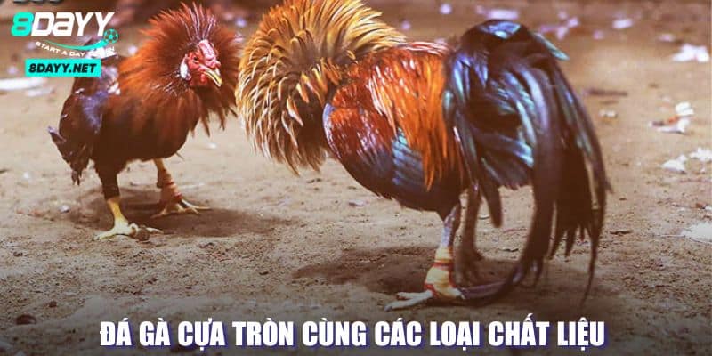 Đá Gà Cựa Tròn - Sân Chơi Của Những Chiến Kê Đầy Kịch Tính 3 Hình thức đấu chiến kê bằng chất liệu khác nhau